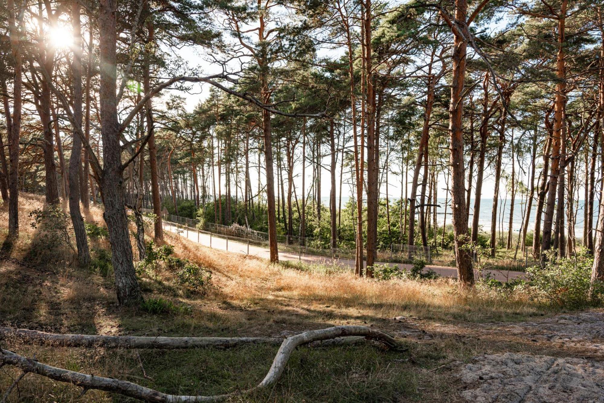 Neptuno Resort & Spa Dźwirzyno Exteriér fotografie